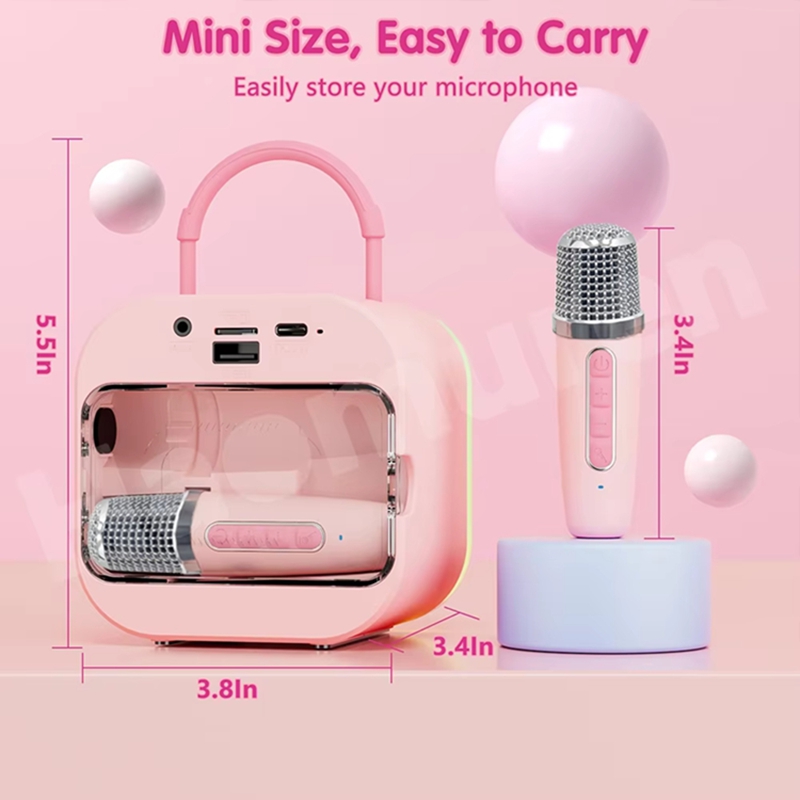 Karaoke Machine Portable With 2 Mic - LZQLY Mini Karaoke Machine for Kids