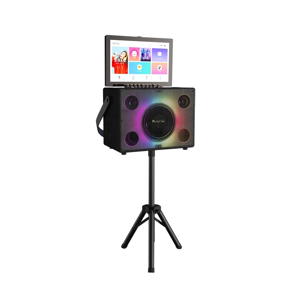 Entertainment Portable Karaoke - đánh giá và giá Karaoke Machine Portable With 2 Mic