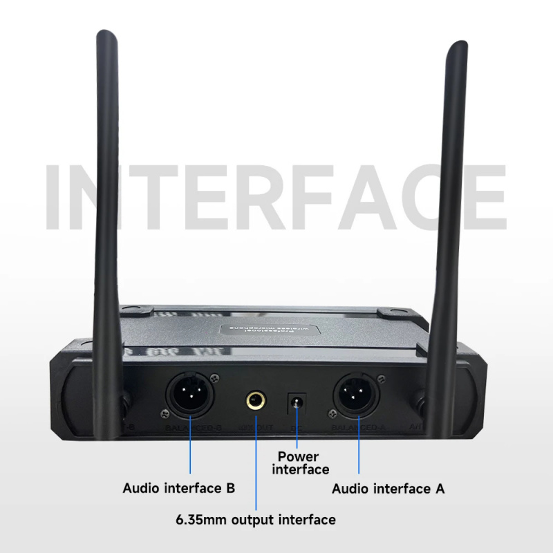 Professional 2 Channel UHF Wir - đánh giá và giá Uhf Wireless Microphone System Dual Channel