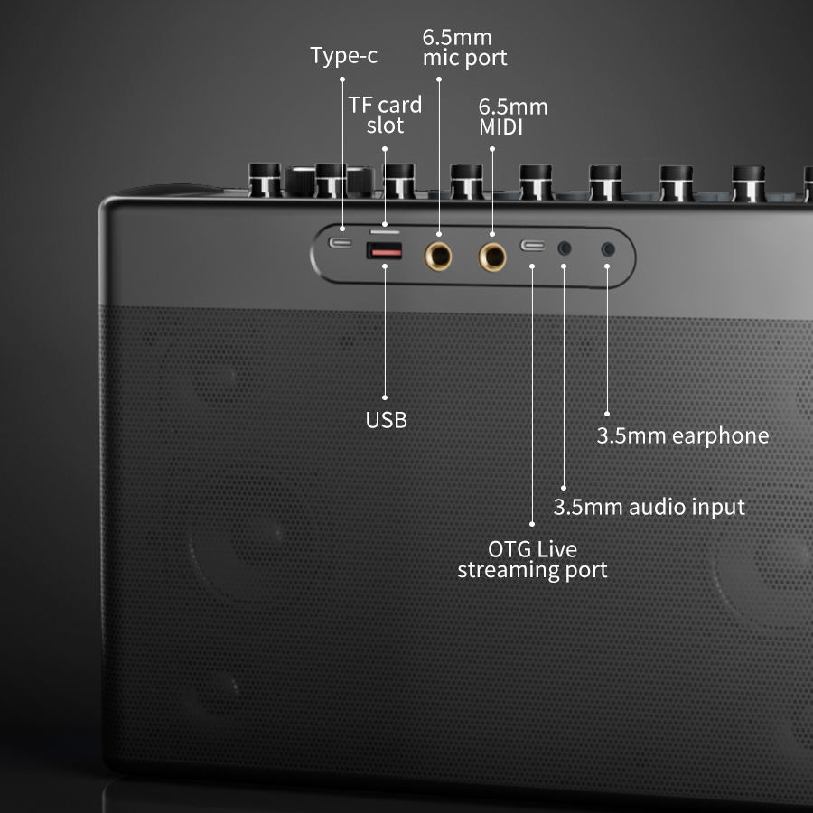 S1127 PLUS 300W Karaoke Machin - đánh giá và giá Karaoke Machine Portable With 2 Mic