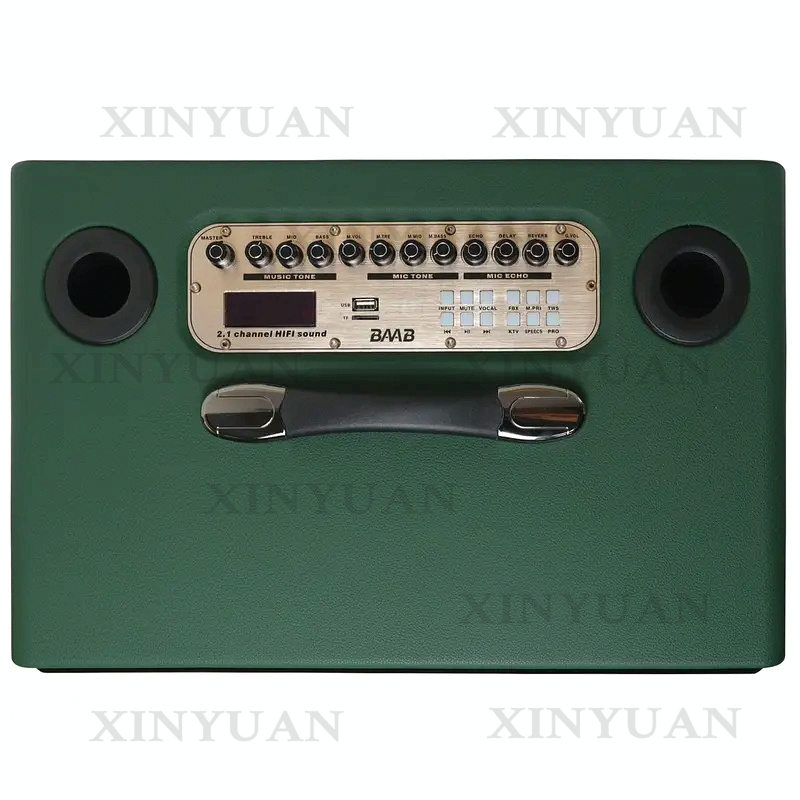 Karaoke Speaker, 8-Inch Wooden - đánh giá và giá Karaoke Speaker System 100W Rgb
