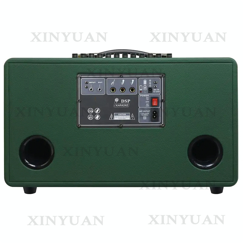 Karaoke Speaker, 8-Inch Wooden - đánh giá và giá Karaoke Speaker System 100W Rgb