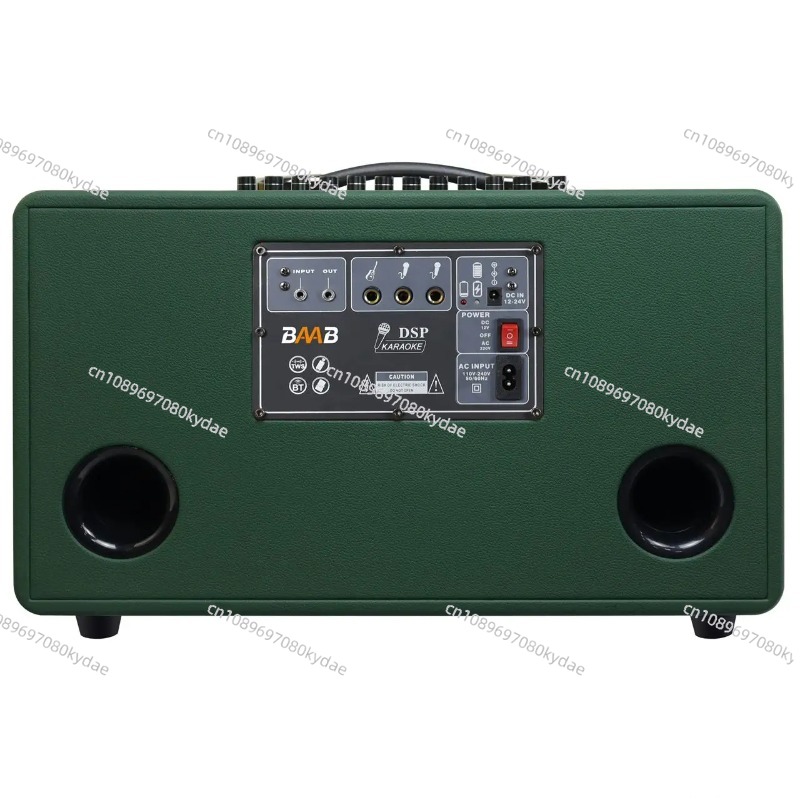 Professional 8-Inch HIFI Bass  - đánh giá và giá Karaoke Speaker System 100W Rgb