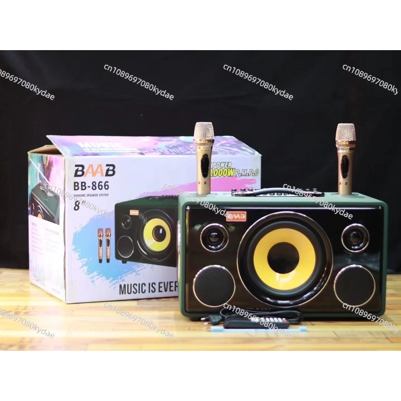 Professional 8-Inch HIFI Bass  - đánh giá và giá Karaoke Speaker System 100W Rgb