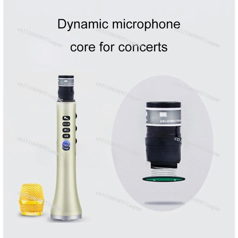 L-698DSP 20W Wireless Micropho - đánh giá và giá Bluetooth Karaoke Microphone Handheld