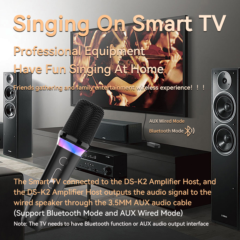 Karaoke Companion Wireless Mic - đánh giá và giá Karaoke Amplifier Mixer Bluetooth