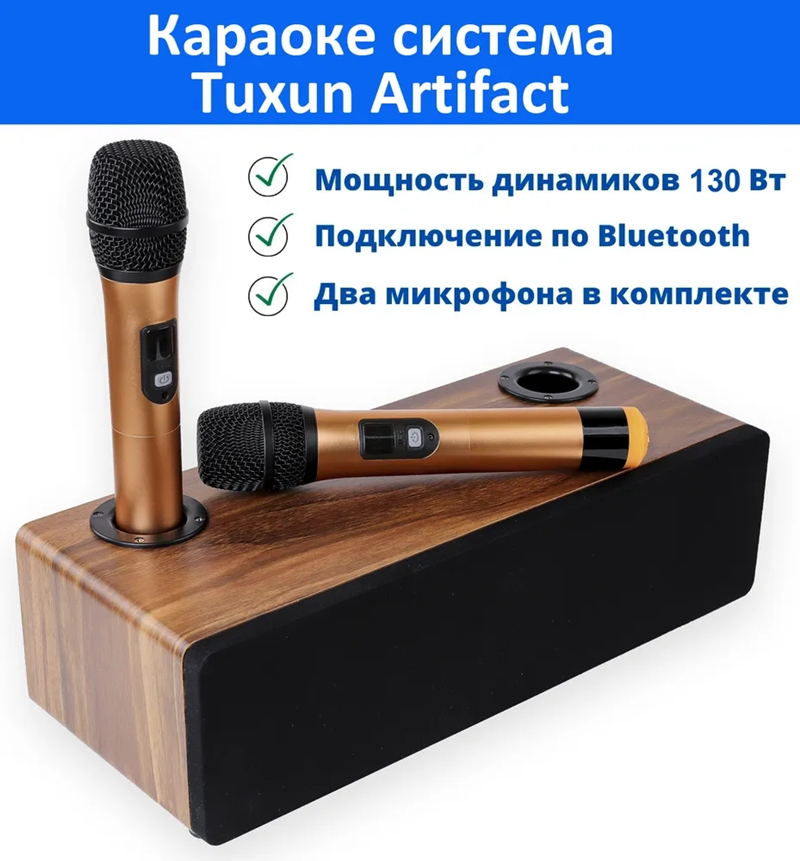 Professional Karaoke Wireless  - đánh giá và giá Bluetooth Karaoke Microphone Handheld