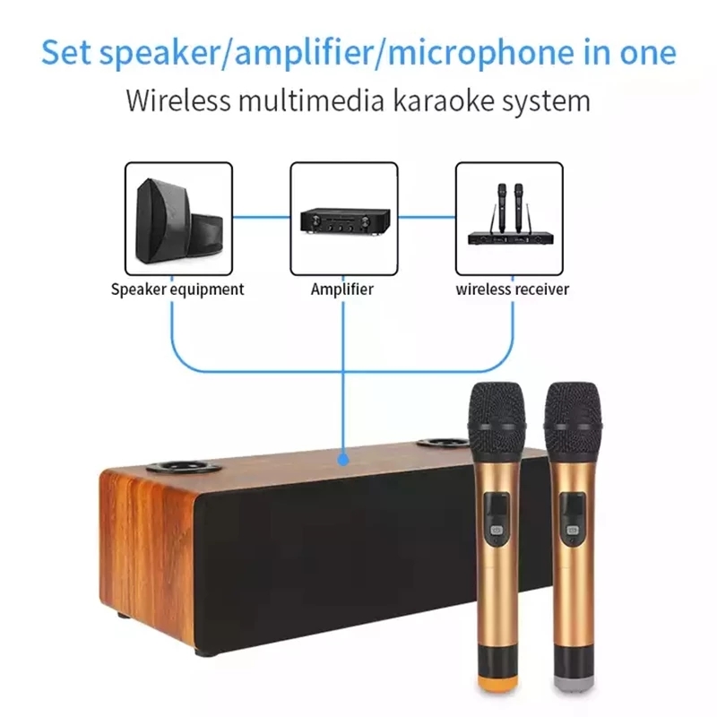 Professional Karaoke Wireless  - đánh giá và giá Bluetooth Karaoke Microphone Handheld