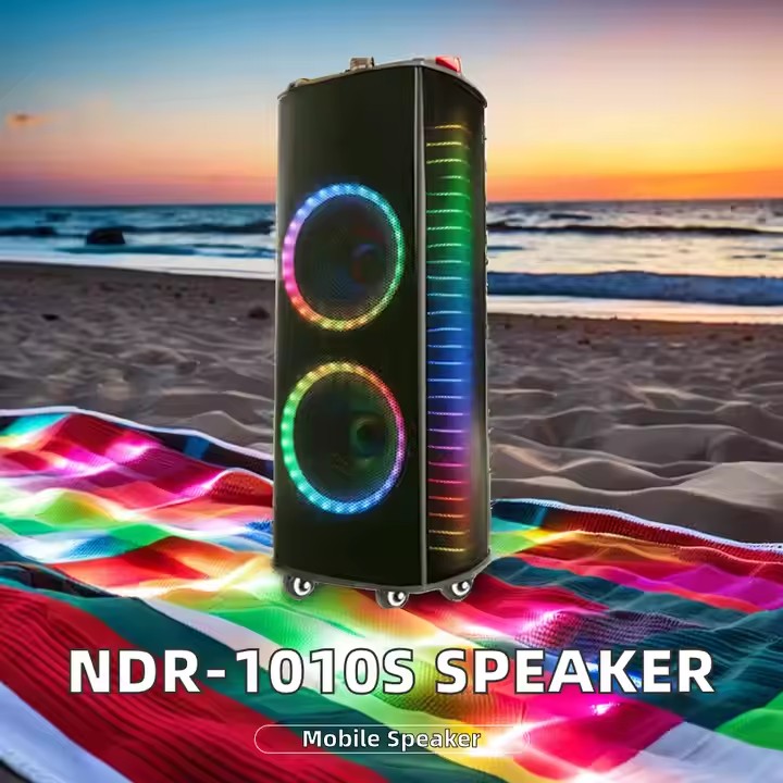 Ndr-1010S Home Theater System  - đánh giá và giá Karaoke Speaker System 100W Rgb