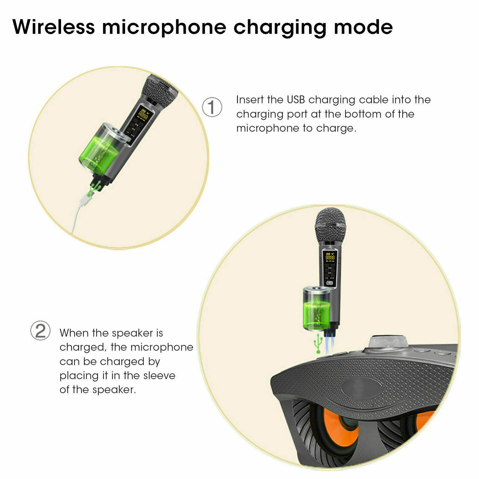 SD306Plus Karaoke Chuyên Nghiệ - đánh giá và giá Karaoke Machine Portable With 2 Mic
