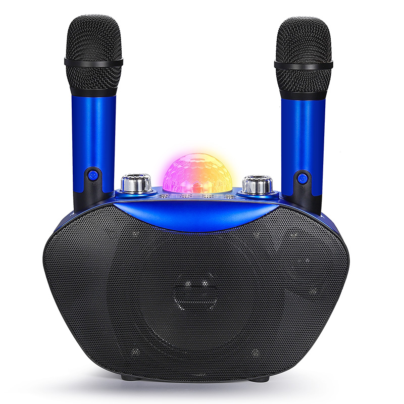 Mini Subwoofer Speaker Portabl - đánh giá và giá Bluetooth Karaoke Microphone Handheld