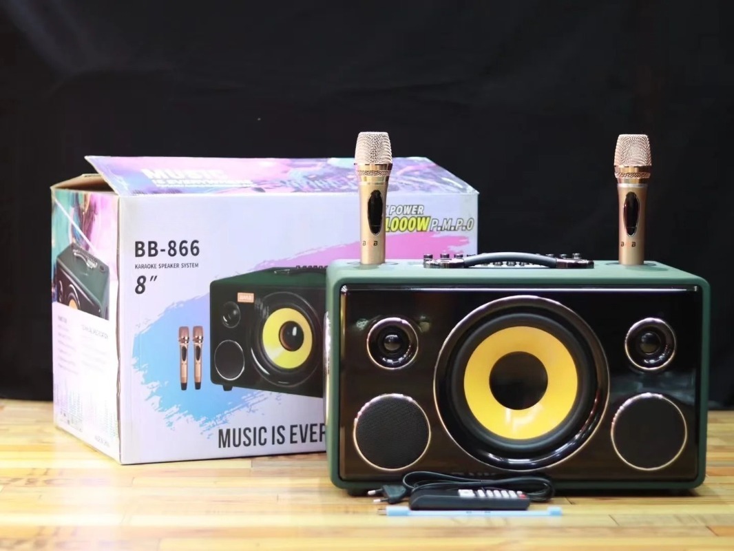 Professional 8-Inch HIFI Bass  - đánh giá và giá Karaoke Speaker System 100W Rgb