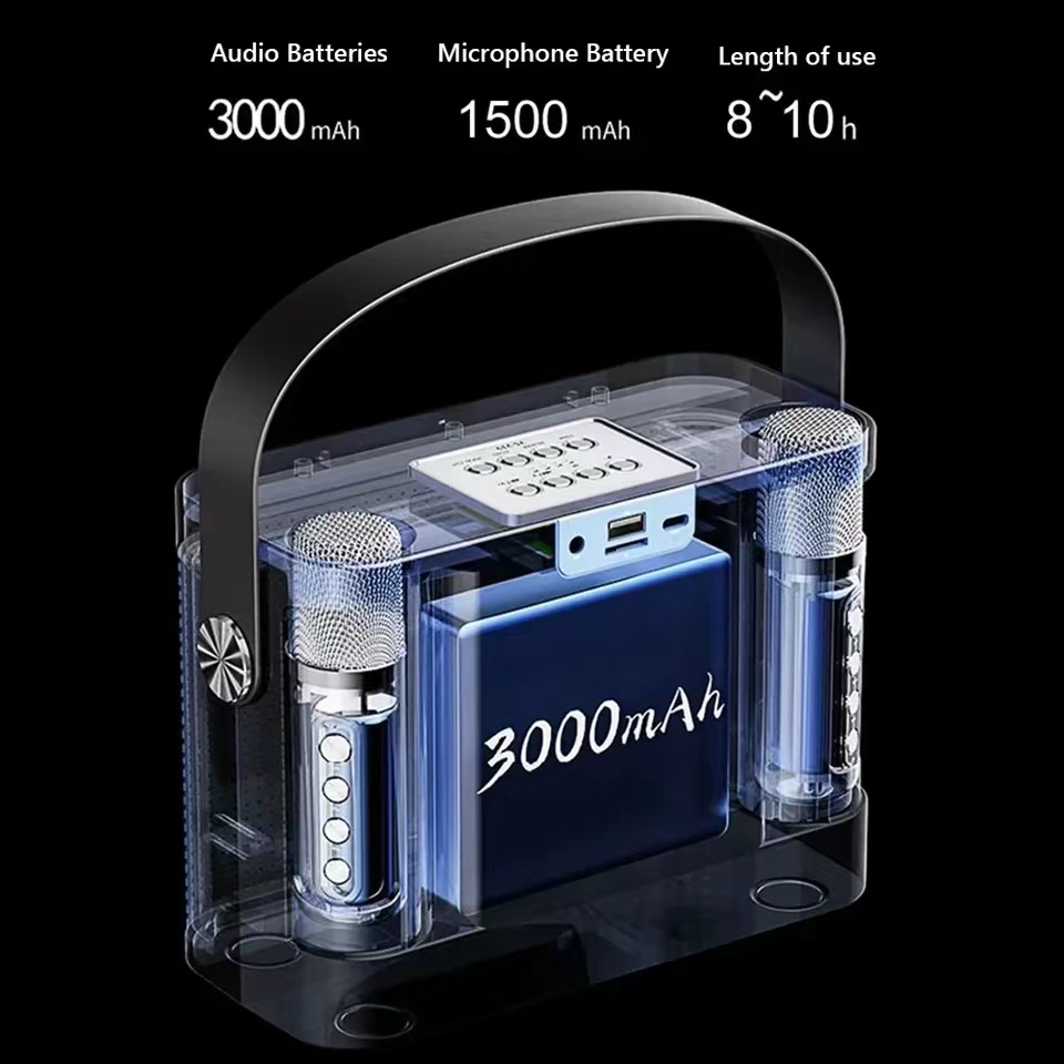Powerful Bluetooth Speaker Wit - đánh giá và giá Karaoke Machine Portable With 2 Mic