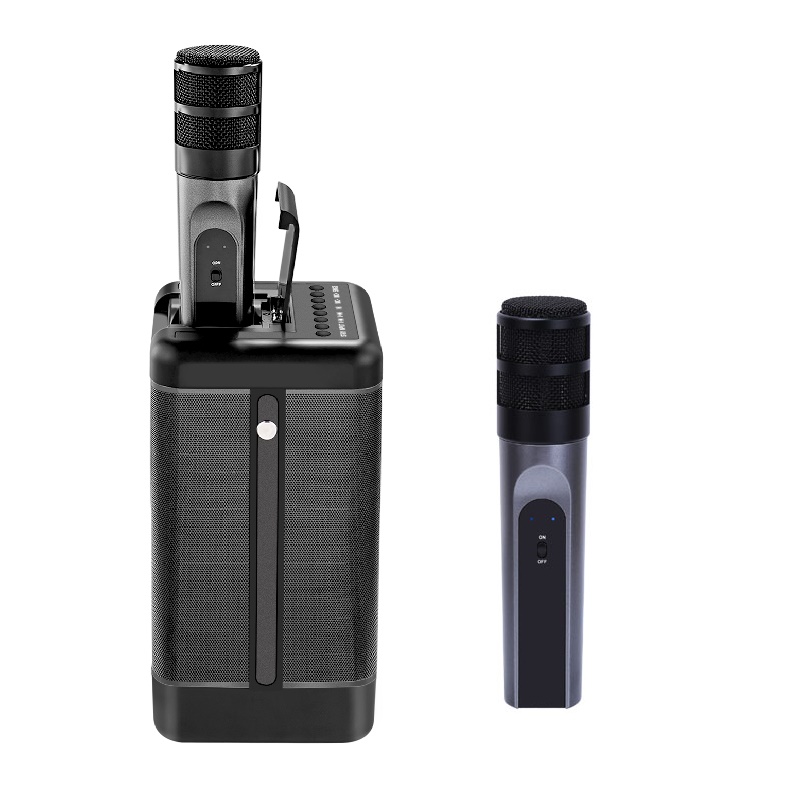Best Portable USB KTV Karaoke  - đánh giá và giá Bluetooth Karaoke Microphone Handheld