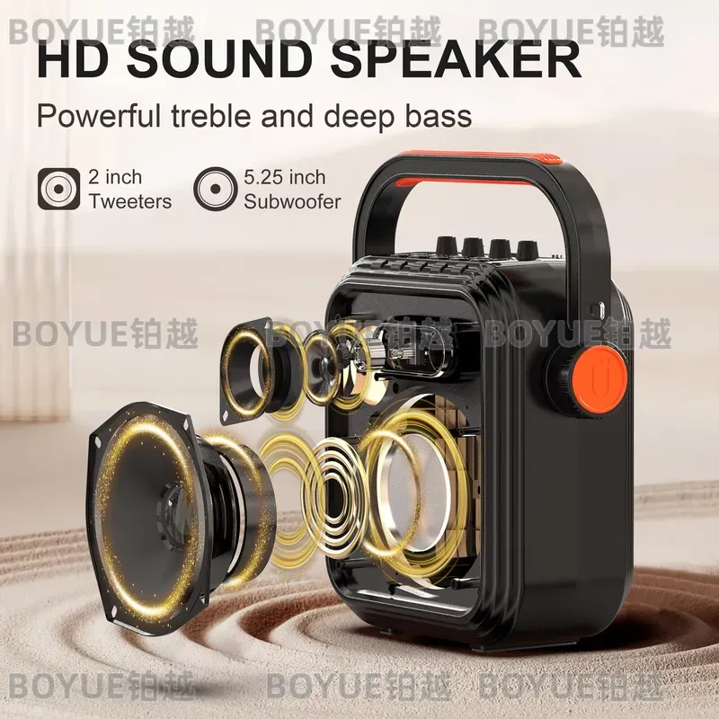 Portable Karaoke Machine with  - đánh giá và giá Karaoke Machine Portable With 2 Mic